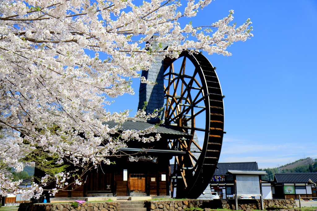 荘川　そばの里