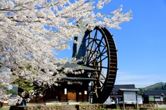 荘川　そばの里