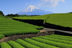 富士山と茶畑