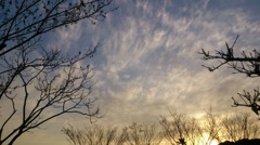 空
