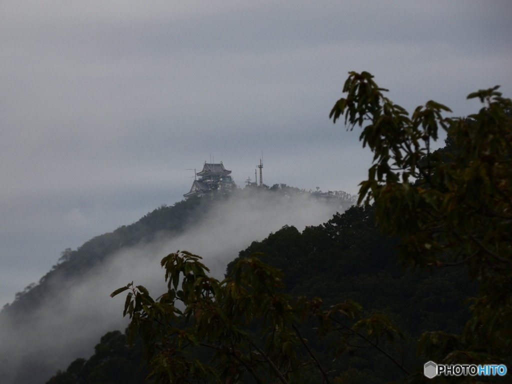 朝霧と岐阜城