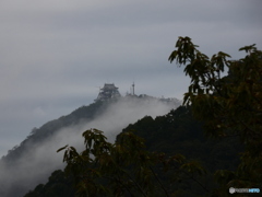 朝霧と岐阜城