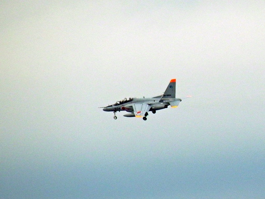 探鳥中に出会ったもの　3