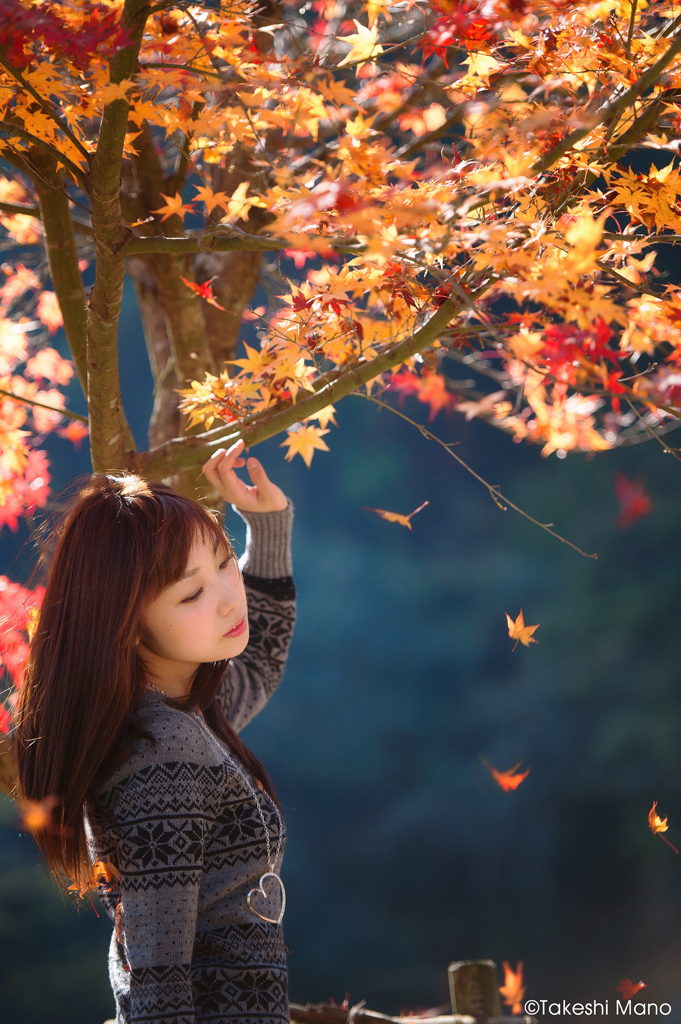 autumn leaves