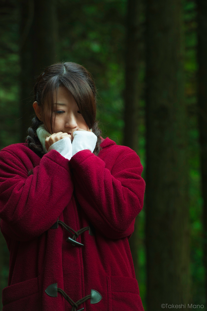 きっと君はこない