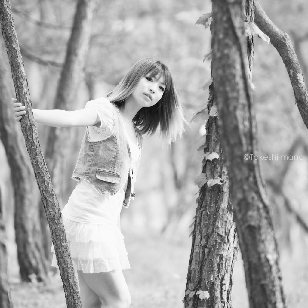 forest