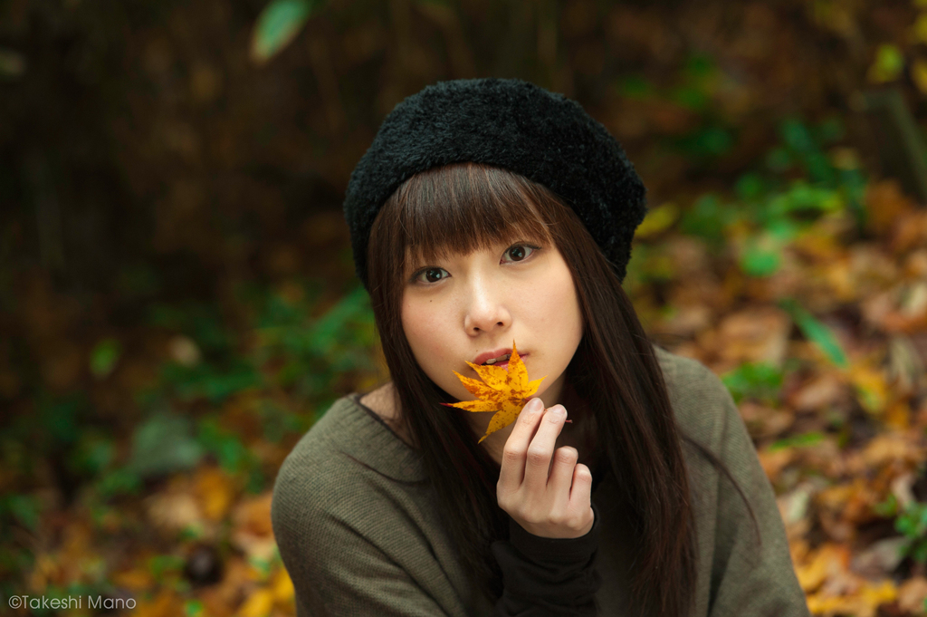 autumn leaves