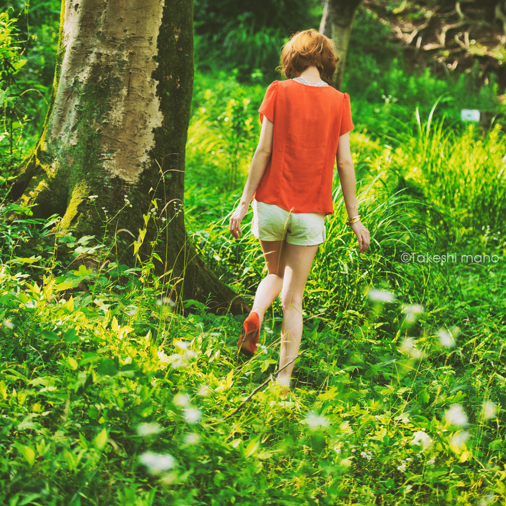 forest
