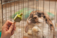 それ、ちょーだい