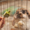 それ、ちょーだい