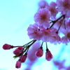 いやってほど