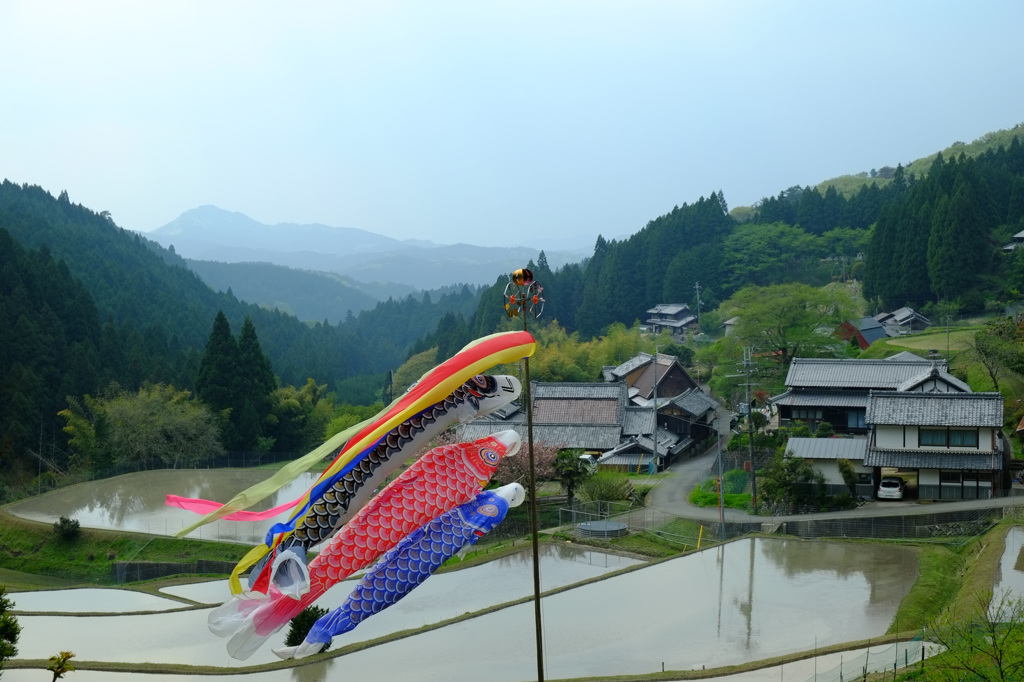 山里の春