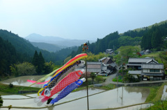 山里の春