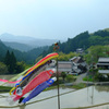 山里の春