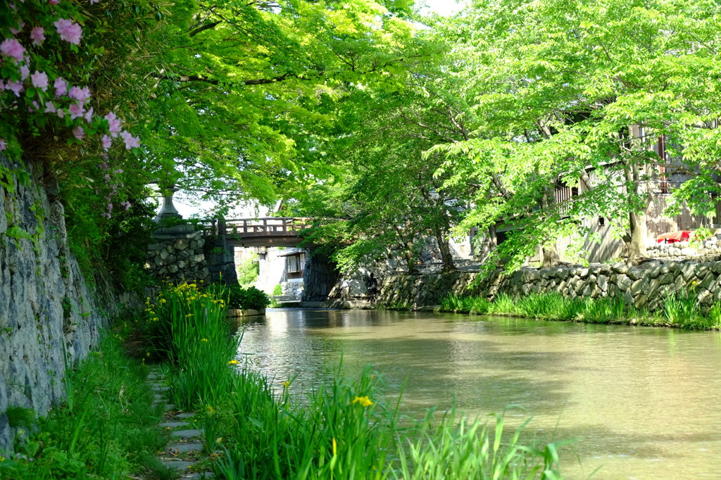 水辺の風景