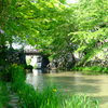 水辺の風景