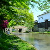 水郷の休日