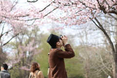 SAKURA