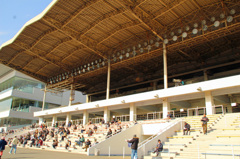 川崎競馬場