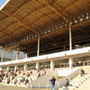 川崎競馬場