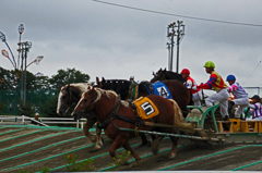 ばんえい競馬