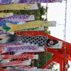 魚群