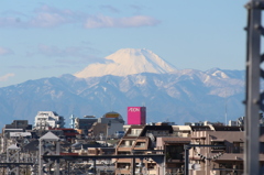 富士山