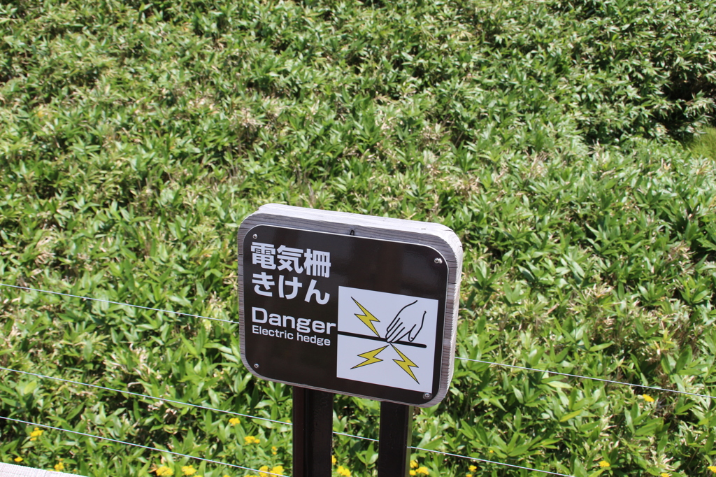 危険