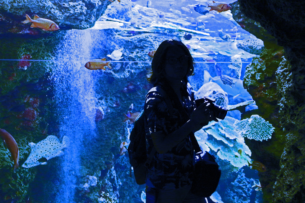 水族館
