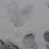 雪に描いたハート