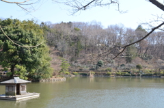 薬師池公園