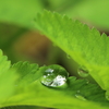雨宿り