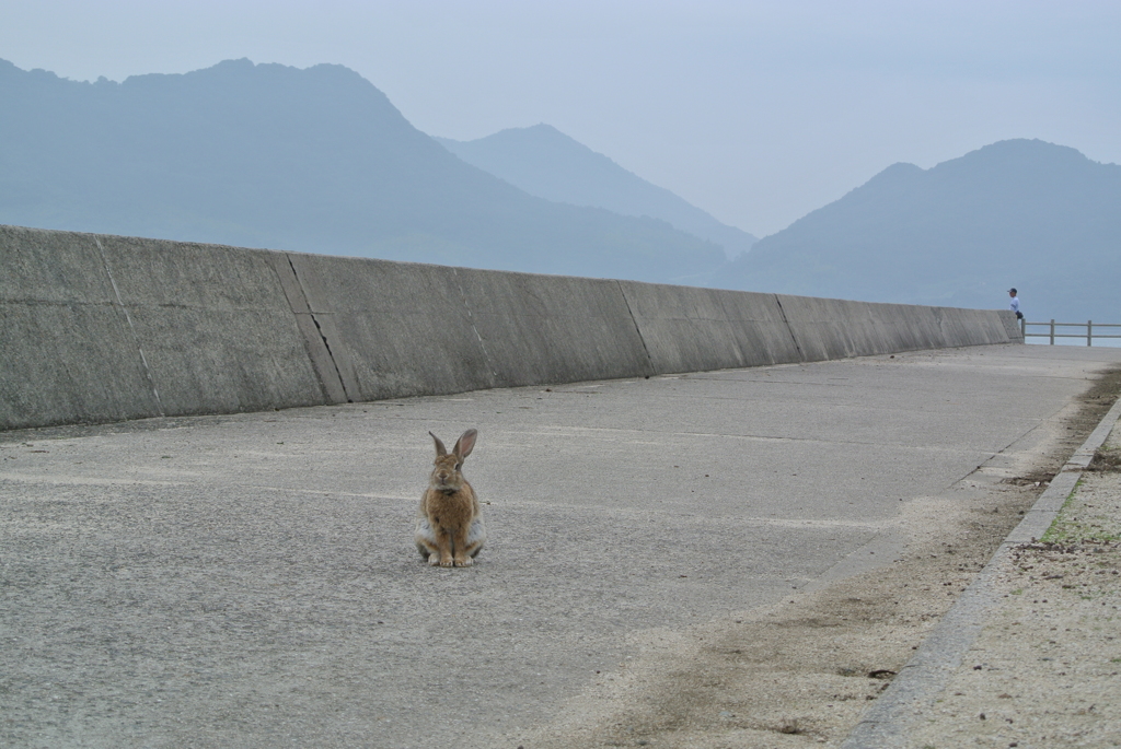 うさぎと釣り人