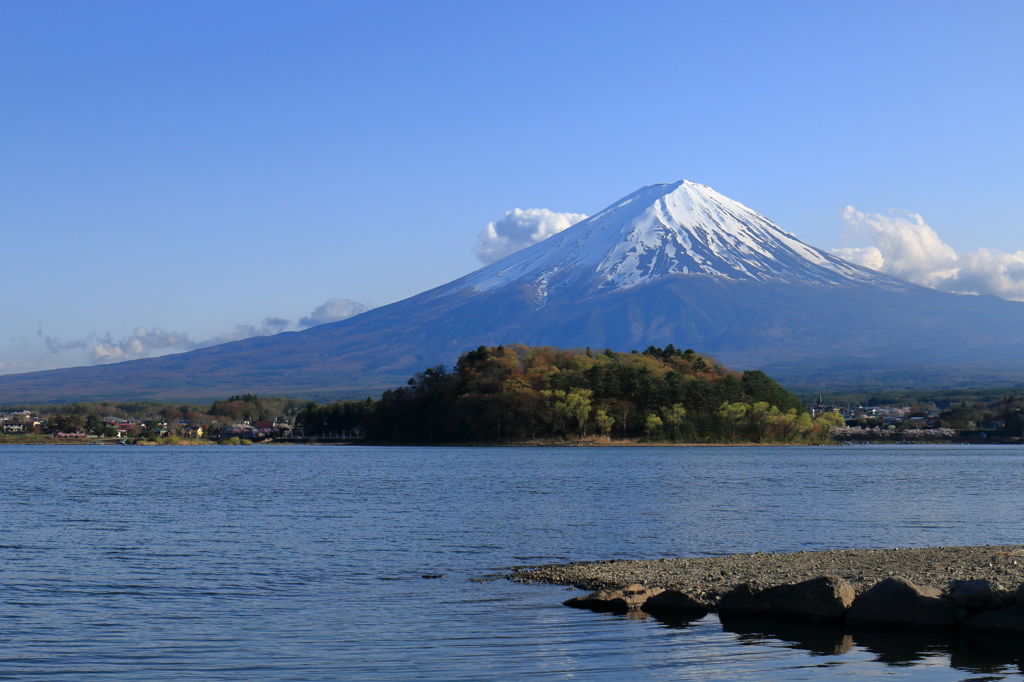 渋く撮れた富士山(大石公園付近)