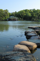 清澄庭園 磯渡り