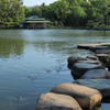 清澄庭園 磯渡り
