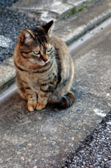 見つめる先に