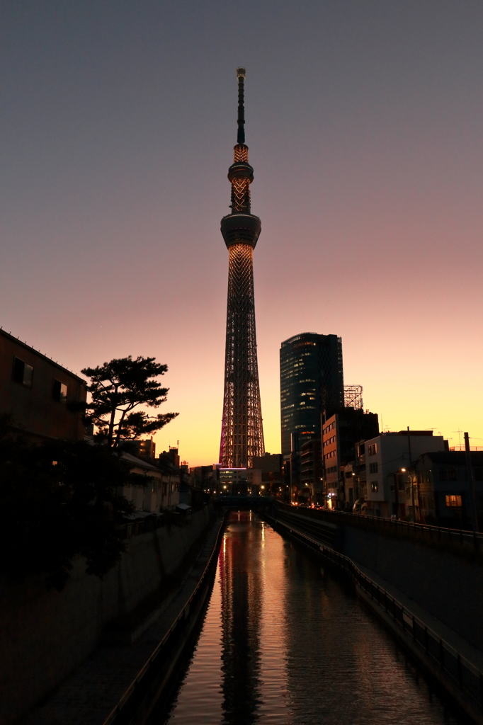 夕暮れのスカイツリー 2015