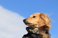 風が強い日