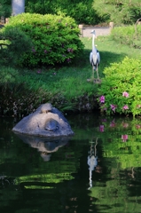 清澄庭園 亀と野鳥