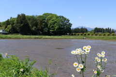 のどか