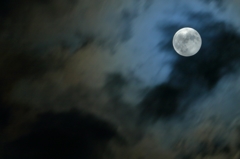 月夜