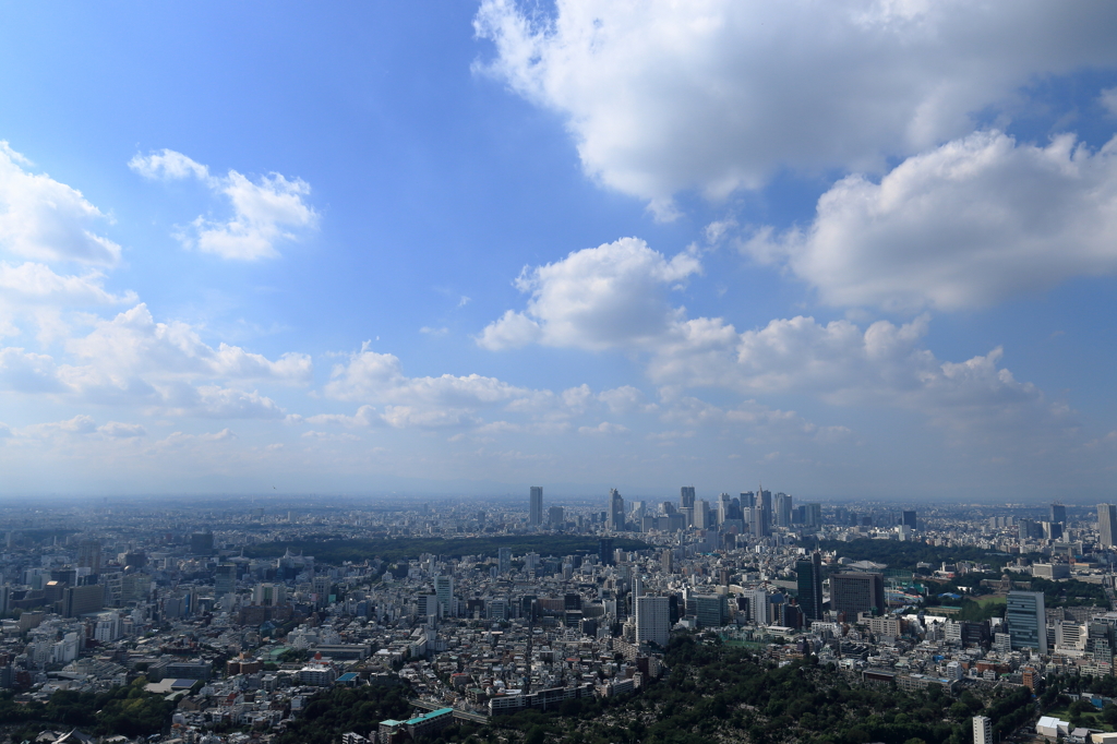 あそこが新宿