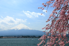 春の河口湖