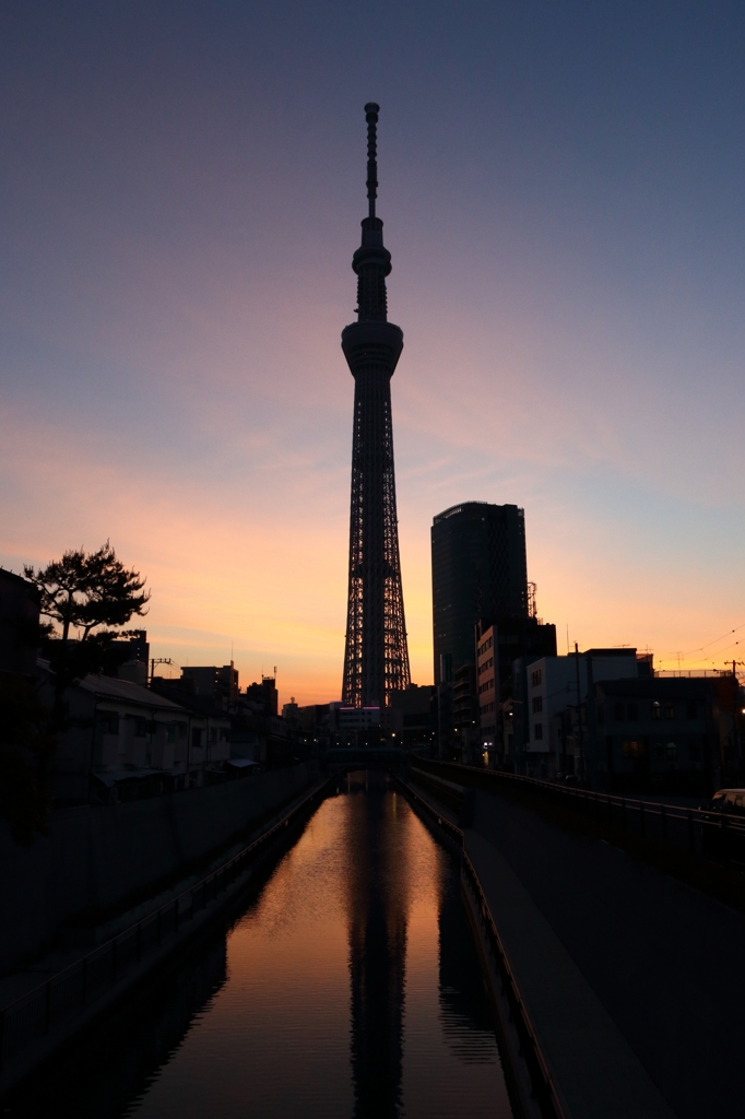 少し逆さ写りがある夕暮れのスカイツリー