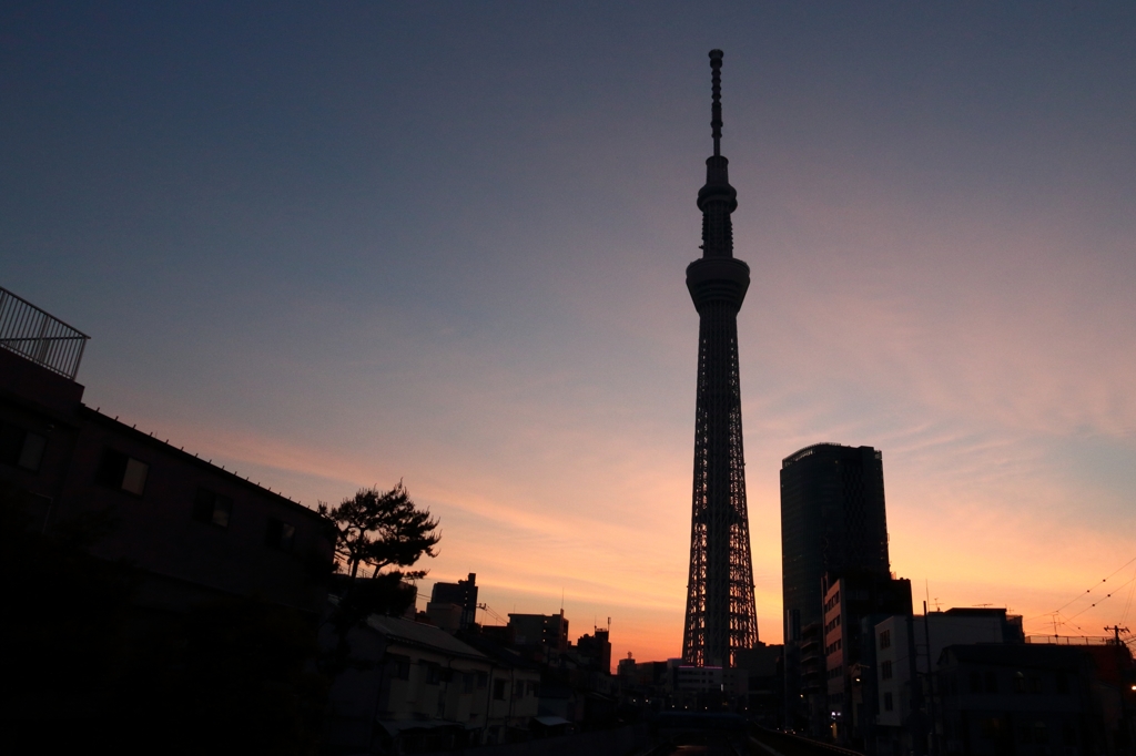 夕暮れのスカイツリー