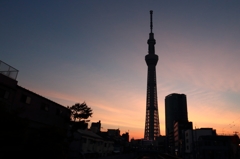 夕暮れのスカイツリー
