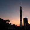 夕暮れのスカイツリー