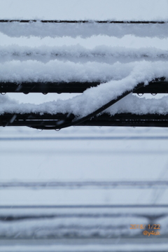 大雪電線発達中 〜snow cable 多くの細い線にまで積もりゆく雪の向こう