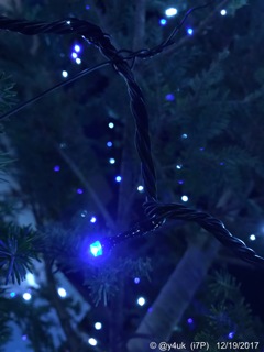 Blue White Light Night Xmas Tree [WB]